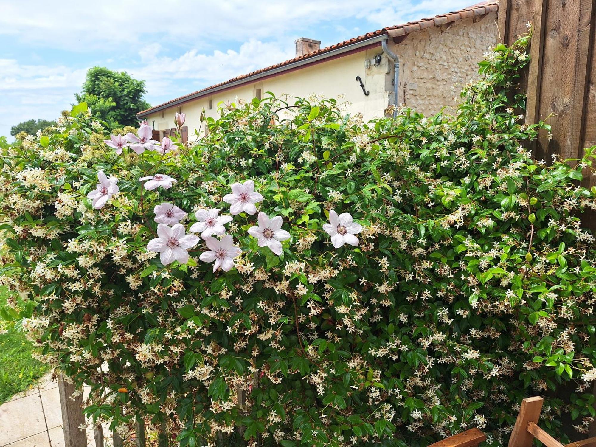 Gite Cosy Grand Confort Dans Un Ecrin De Verdure Agudelle Exterior foto